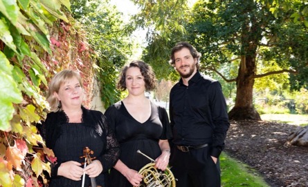 Quercus-Trio