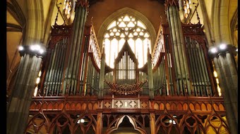 StPats-organ