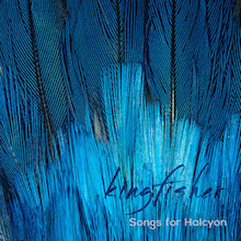 Kingfisher-small
